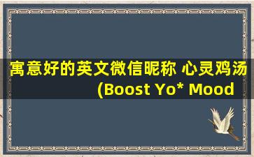 寓意好的英文微信昵称 心灵鸡汤(Boost Yo* Mood with Inspirational English WeChat Nicknames Arou